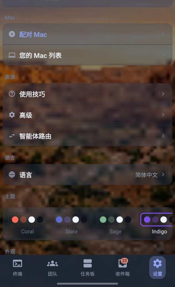 Termio Settings screen — pairing another Mac, agent routing, language, and theme colors
